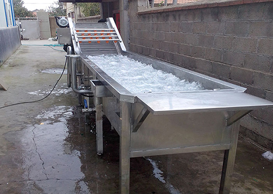 1616833178234191.jpg 1.jpg